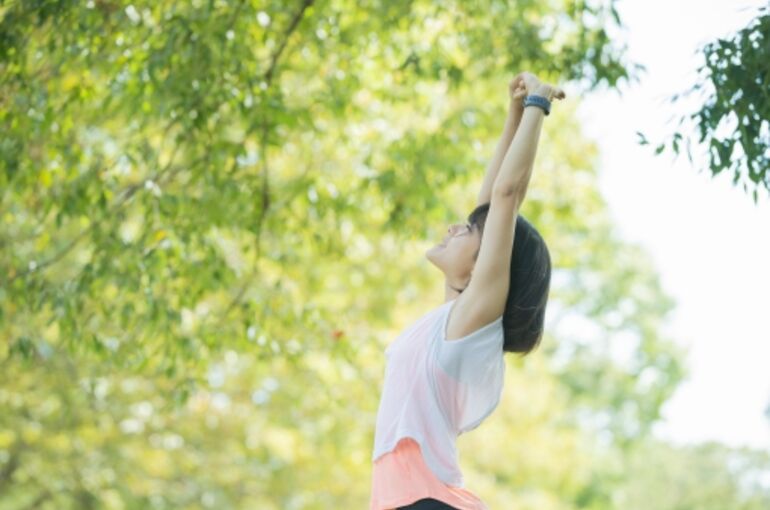 ストレッチ画像